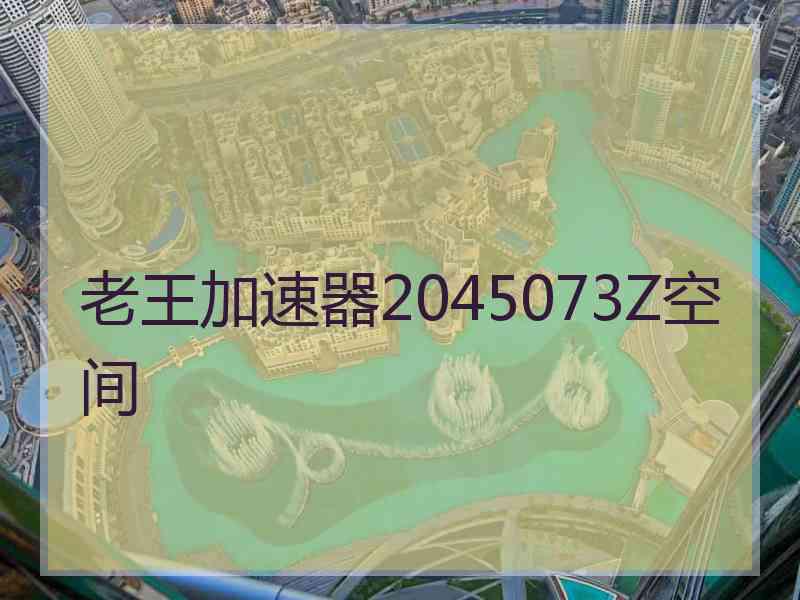 老王加速器2045073Z空间