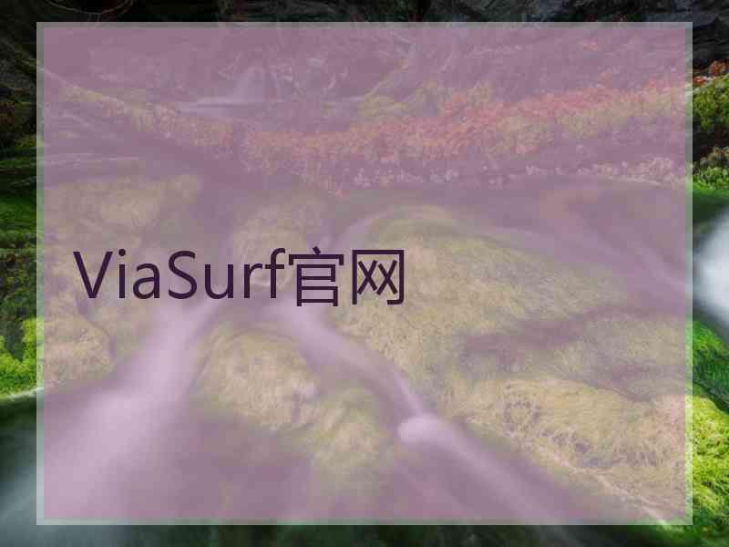 ViaSurf官网