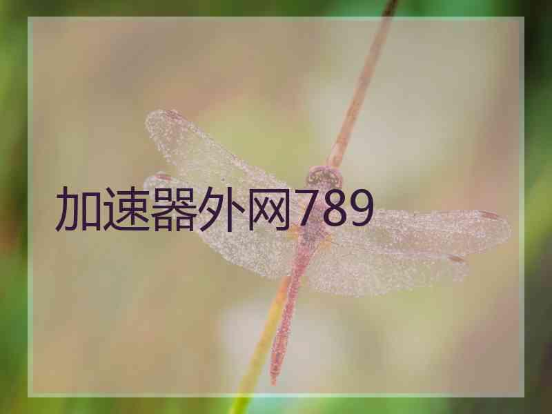 加速器外网789