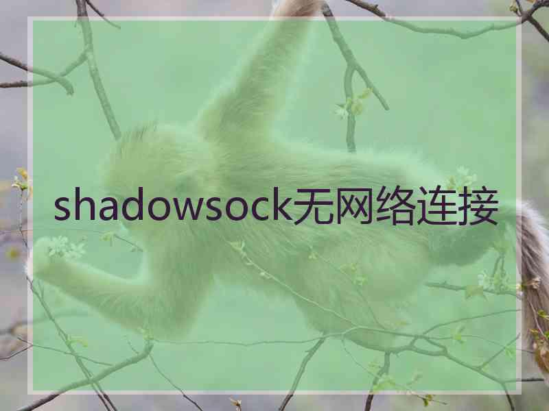 shadowsock无网络连接