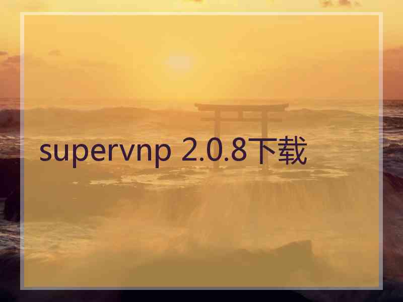 supervnp 2.0.8下载