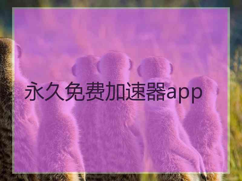 永久免费加速器app