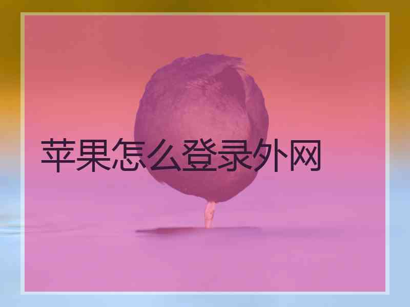 苹果怎么登录外网