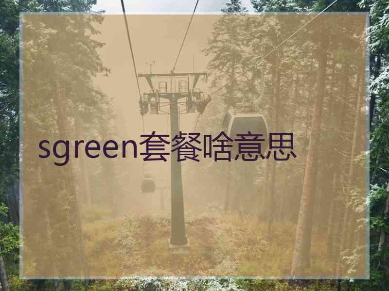 sgreen套餐啥意思