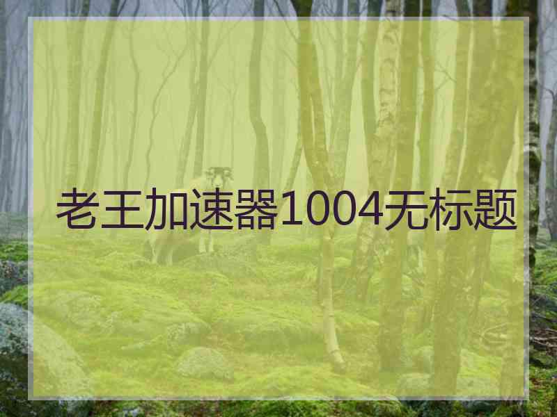 老王加速器1004无标题