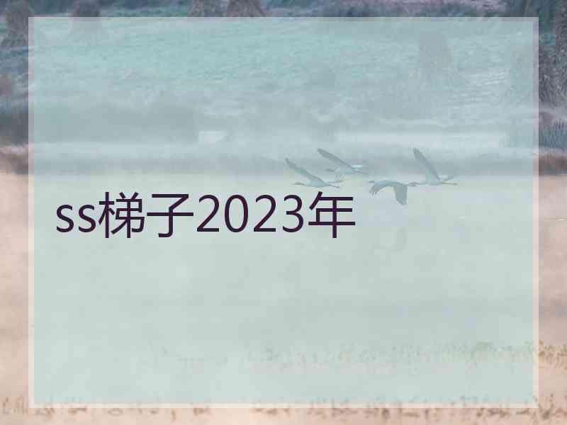 ss梯子2023年