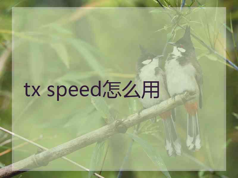 tx speed怎么用