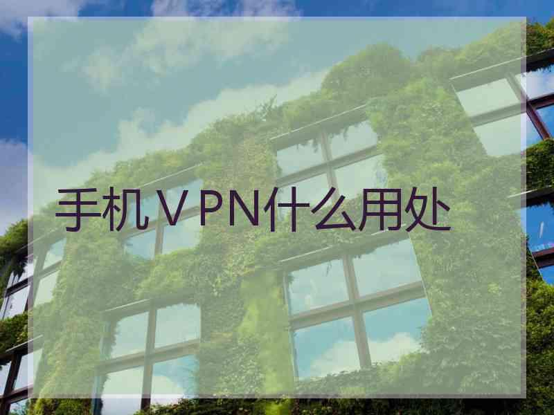 手机ⅤPN什么用处