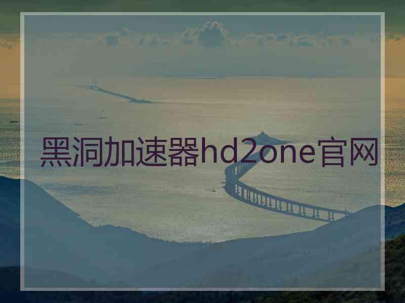 黑洞加速器hd2one官网