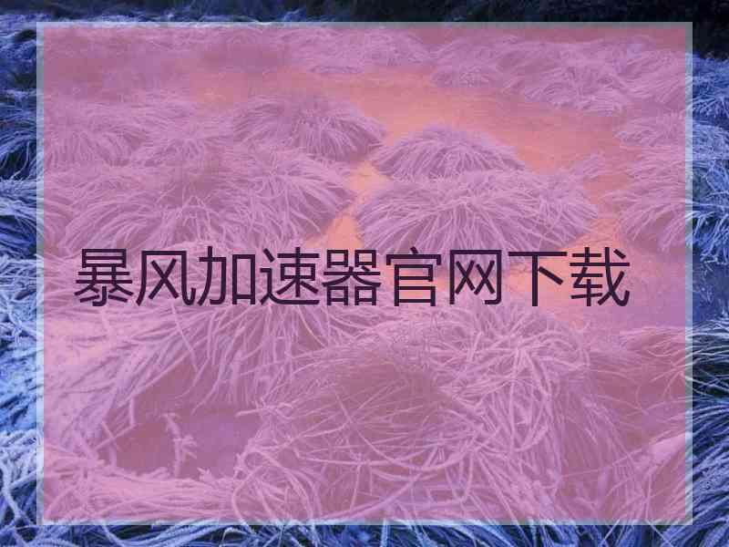 暴风加速器官网下载