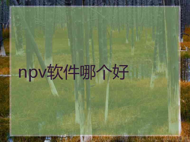 npv软件哪个好