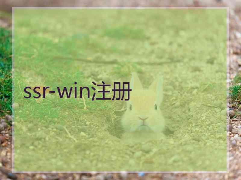 ssr-win注册