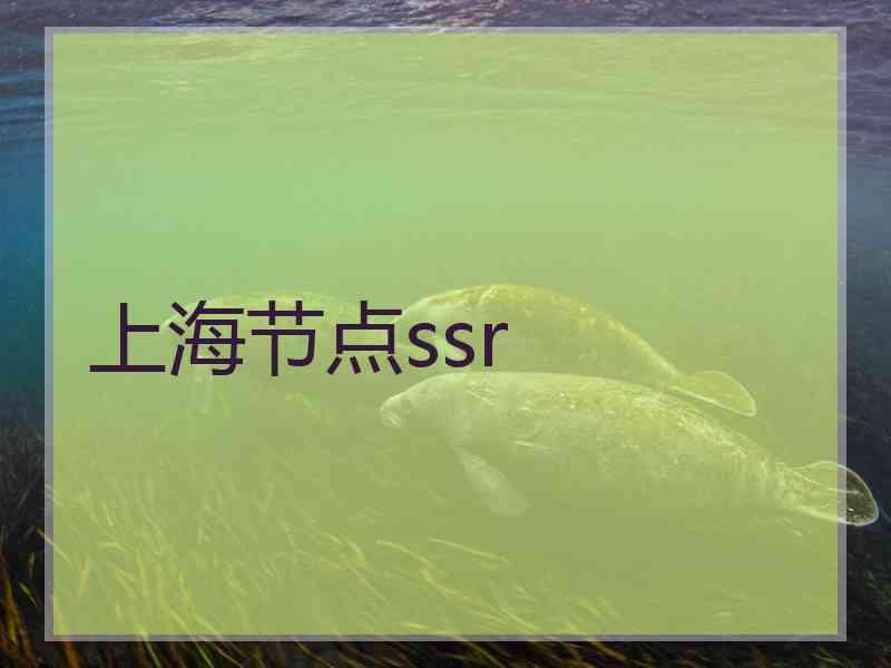 上海节点ssr